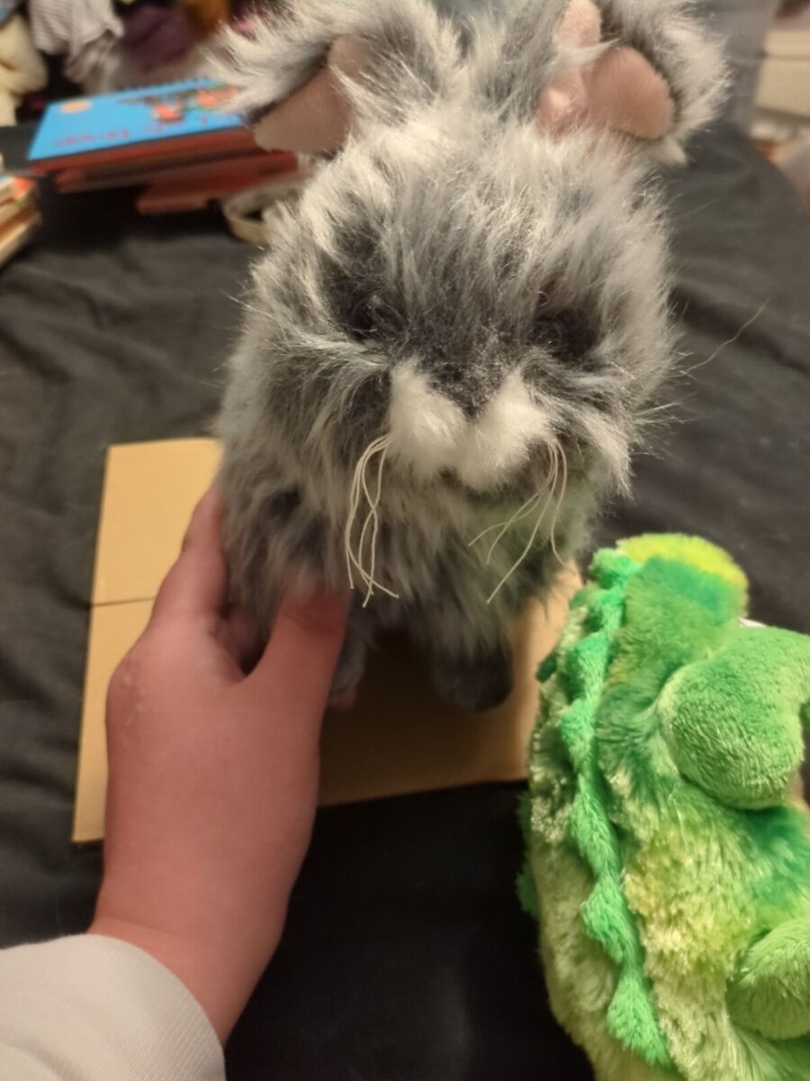 Webkinz Gray Angora Bunny Plush HM437 Stuffed Animal Rabbit Webkinz Gray Angora Bunny Plush HM437 Stuffed Animal Rabbit