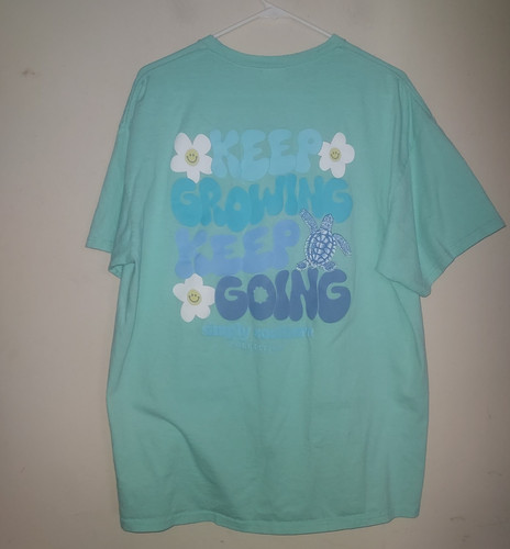 Simply Southern Women's T-Shirt XL Cotton Short Sleeve Crew Neck Turtles Blue
