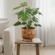 VTG 1950s Peerage Copper Planter Brass Lion Head Feet Jardiniere Wine Bucket