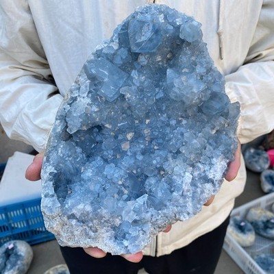 12.1LB  Celestite Cluster Blue Geode Crystal Rock Yoga Meditation Reiki Decor