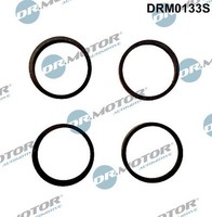 Dr. Motor Automotiv DRM0133S Dichtungsatz, AnsaugkrüMmer FüR Seat, Skoda, VW
