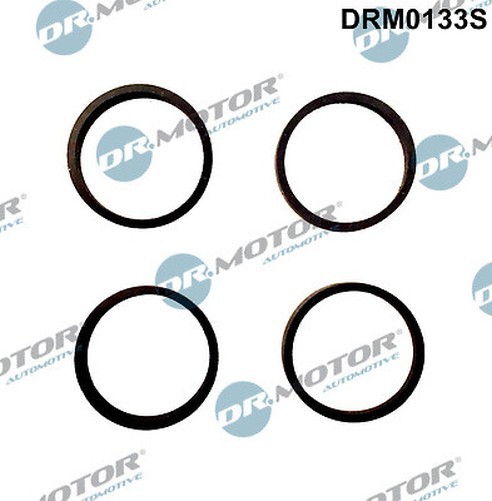 Dr. Motor Automotiv DRM0133S Dichtungsatz, AnsaugkrüMmer FüR Seat, Skoda, VW-image