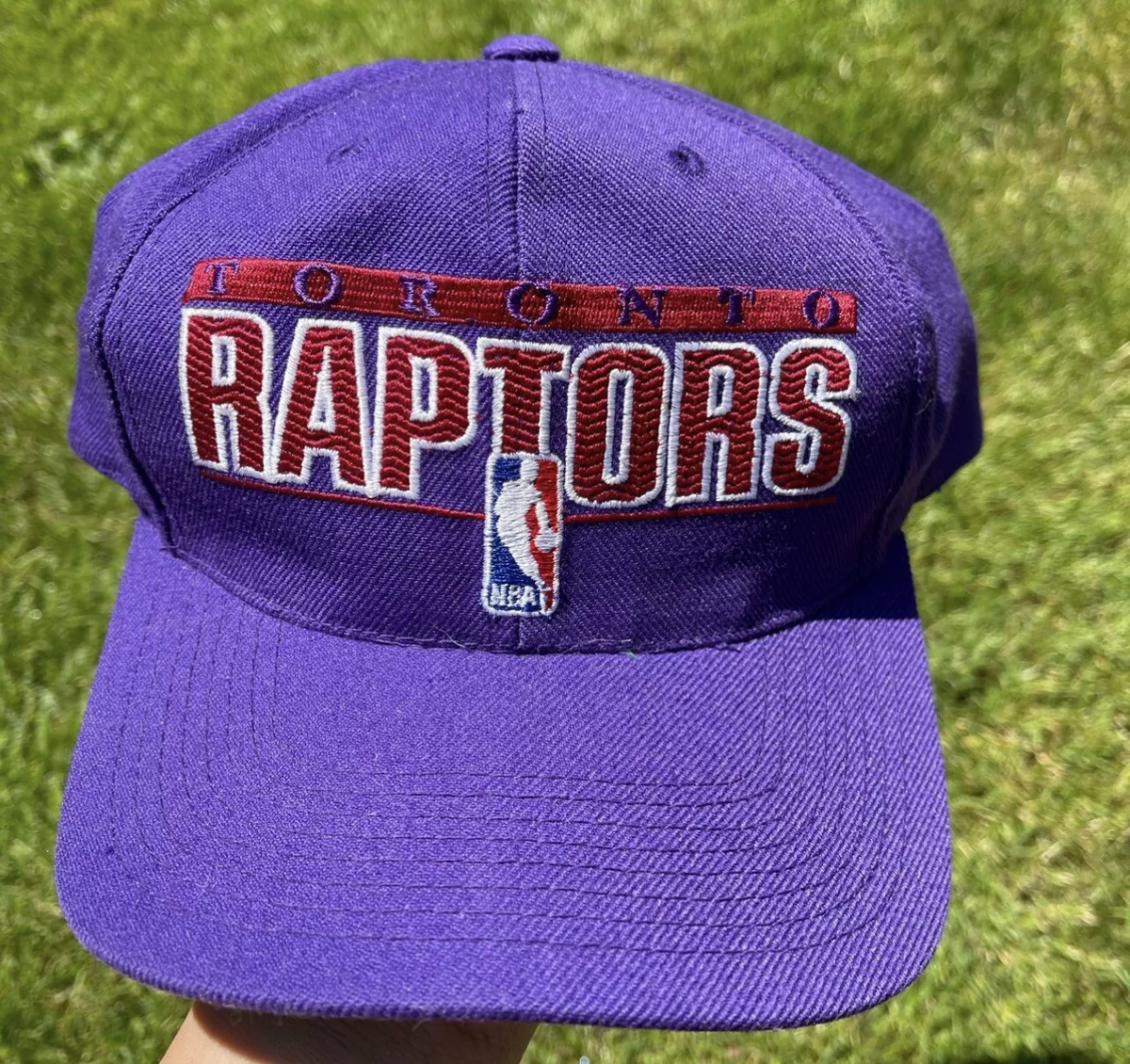 raptors hat purple