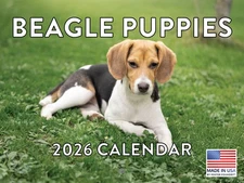 Beagle Puppy Calendar 2026 Monthly Wall Calender 12 Month 12x18