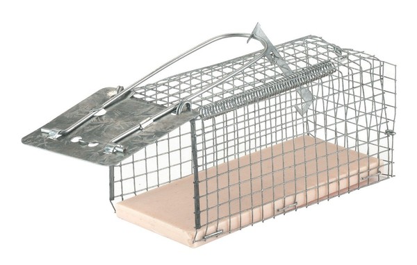 Mausefalle DrahtkäFig - Lebendfalle FüR MäUse - Maus Falle Aus Draht-image