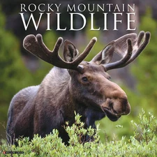 Willow Creek Press,  Rocky Mountain Wildlife 2026 Wall Calendar, 12'' X 12'', 18