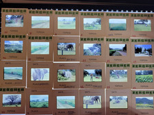 Vintage 35mm Film Slides Photo Lot of 80 PC'S 1960'S-1990'S Mix Family/Travel