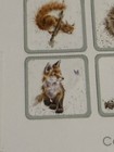 Wrendale designs Hannah Dale pimpernel Six Square Coasters Hedgehog +Friends ￼ — photo 8