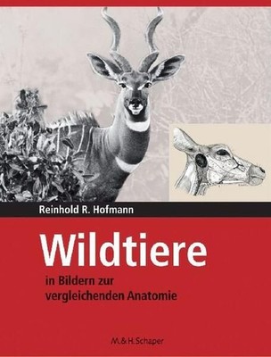 Wildtiere in Bildern zur vergleichenden Anatomie: Schaper Verlag im Vertrieb Sch