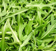 Rocket Salad Cultivated  - 12,000x Seeds - Herb