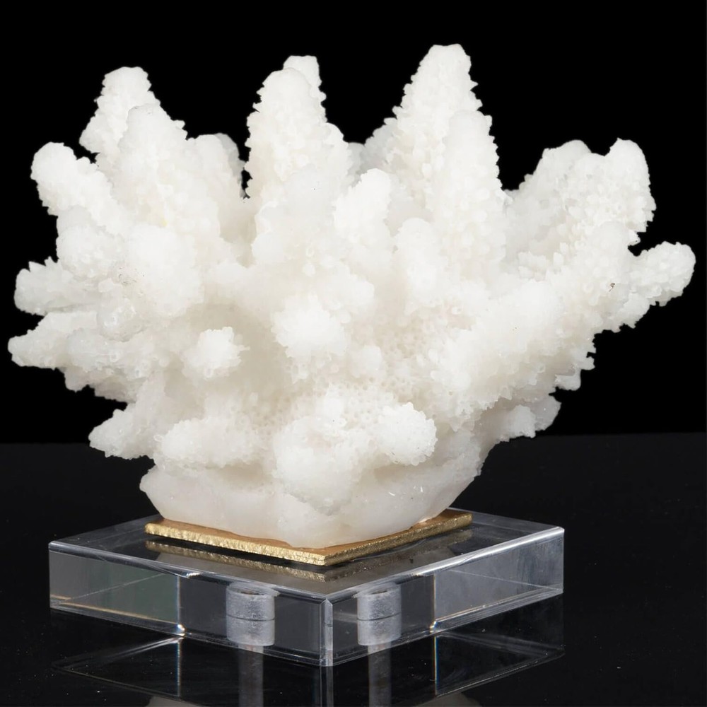 Coral Reef Decor Faux Coral Decor Resin Coral Home Decoration Coral Standing ...