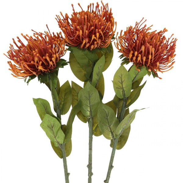 Nadelkissen Kunstblume Orange Leucospermum Protea 73Cm 3Er Set Dekoration, 3-image
