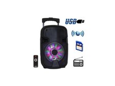 Befree Sound BFS-3000 8 in. Bluetooth Portable Party Speaker with USB, SD  Reac