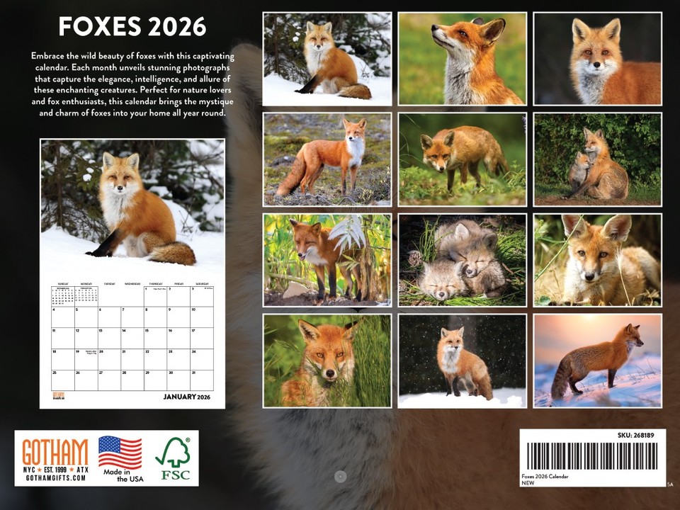 Fox Calendar 2026 Foxes Monthly Wall Calender 12 Month | eBay
