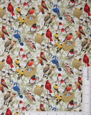 Beautiful Birds Fabric By Yard Nest Bird Dye Lot #2 Cotton by Elizabeths Studio