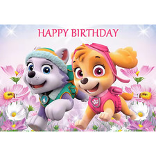 Paw Patrol Skye  Everest 3 x 5 Foot Happy Birthday Backdrop Photo Banner Decor