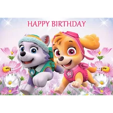 Paw Patrol Skye & Everest 3 x 5 Foot Happy Birthday Backdrop Photo Banner Decor