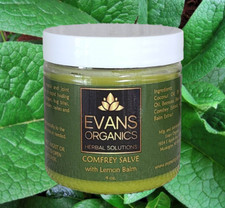Comfrey Healing Salve 4 oz - Free Shipping 