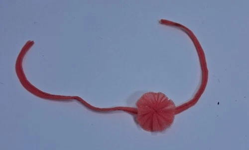 Vintage Barbie 1984 Peaches 'n Cream Original Rosette Belt Replacement