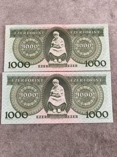 X2 HUNGARY 1000 forint banknote E64770267 E70461420 (165)