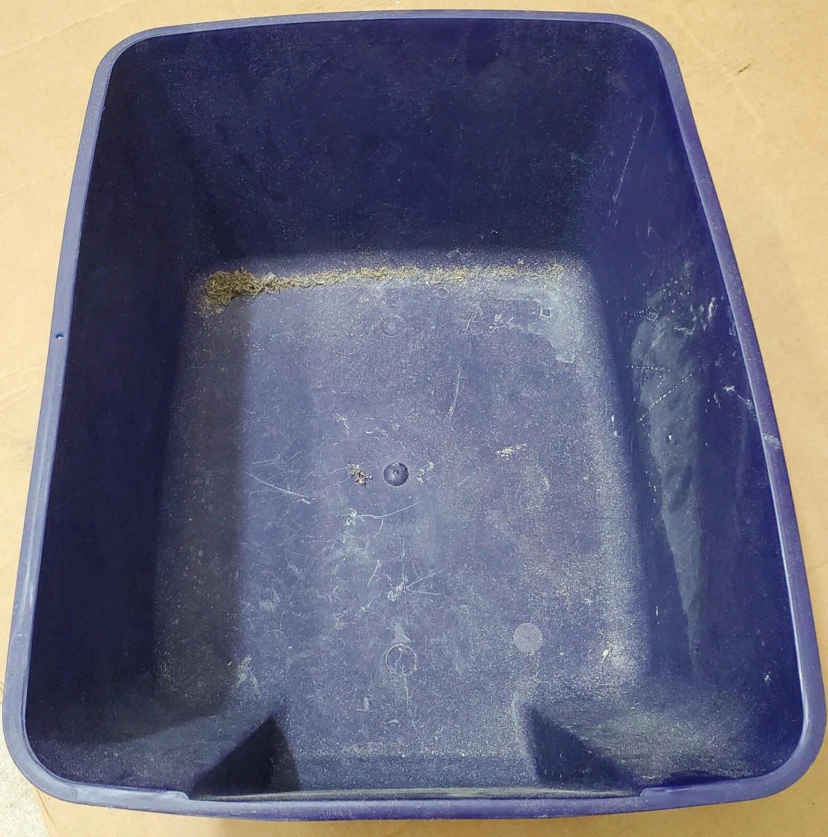 Everpet cat litter cheap