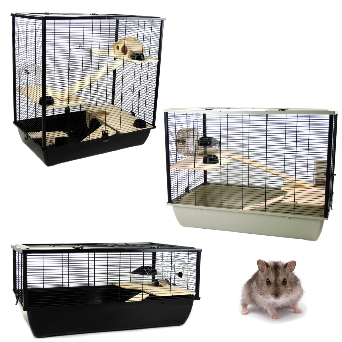 Rat Syrian Hamster Cages Pets Belfry Plaza Langham Grosvenor Large Extra  Large