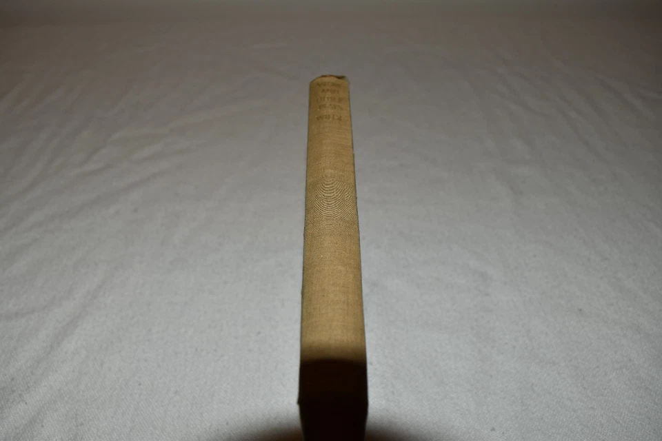 SALOME, LADY WINDERMERE'S FAN, BEING EARNEST Oscar Wilde HC 1920s Modern Library Foto 3 de 4