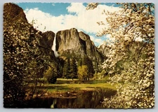 Vintage Yosemite Falls Spring Postcard Yosemite National Park CA