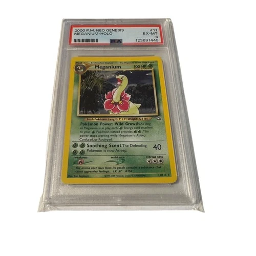 PSA 6 Meganium Holo #11/111 Neo Genesis 2000 Pokemon Card