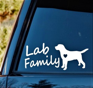 labradoodle accessories