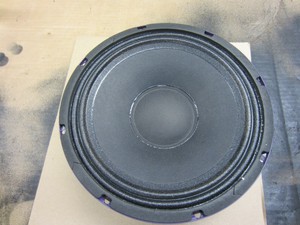 ampeg 10 inch replacement speakers
