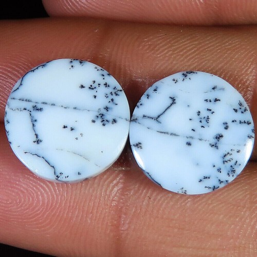 Natürliche Dendritenopal Paar Runde Form Lose Edelsteine 15,15 Ct. (15x15x03 Mm) - 第 1/6 張圖片