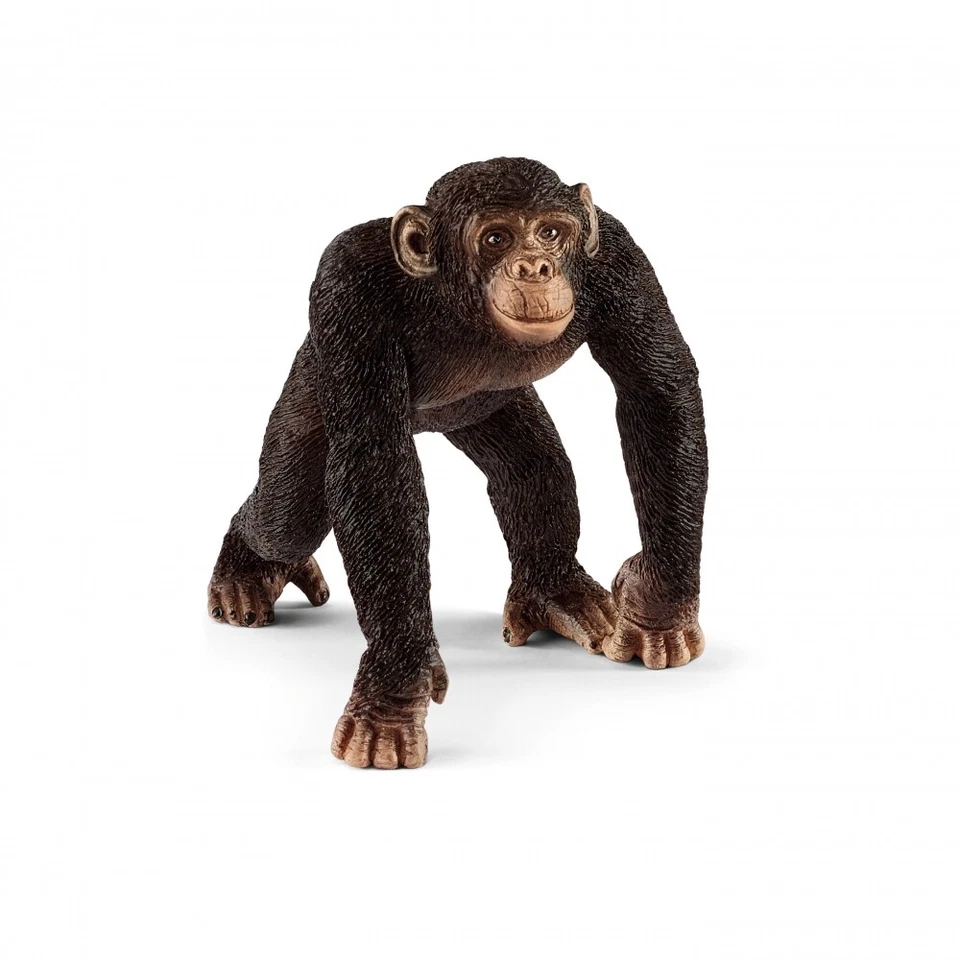 Schleich - 14817 - Schimpanse Männchen - Bild 1 von 1