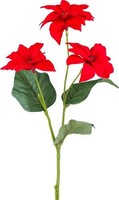 artplants Dekozweig Weihnachtsstern Crintos, Rot, 55Cm