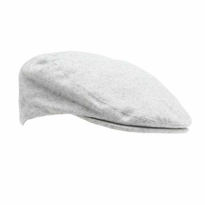 levi's canvas ivy cap