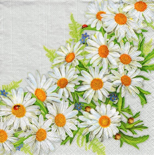 Home Fashion Lunch-Servietten – Herzen & Gänseblümchen, 20 Stück | 33 X 33 Cm, Saugstark & Weich