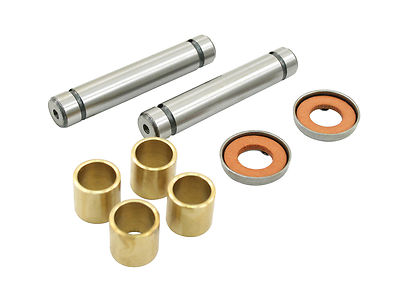 EMPI 98-2065 KING PIN REBUILD KIT 111-498-021 UPTO 1965 VW BUG BUGGY GHIA RAIL