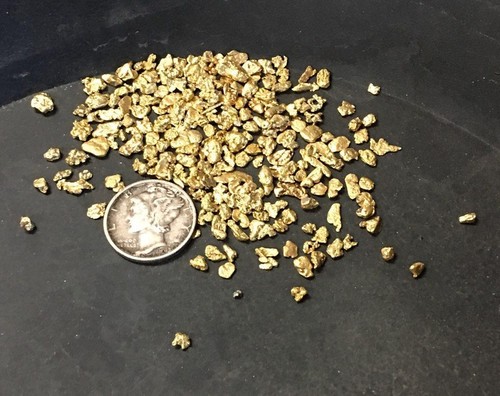 Gold Paydirt 4 lb de Colorado - Bolsas Paydirt de oro sin buscar - Oro garantizado - Imagen 4 de 6