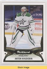 2021-22 Upper Deck Parkhurst Gold Lite FX Anton Khudobin #81 READ 0pm2