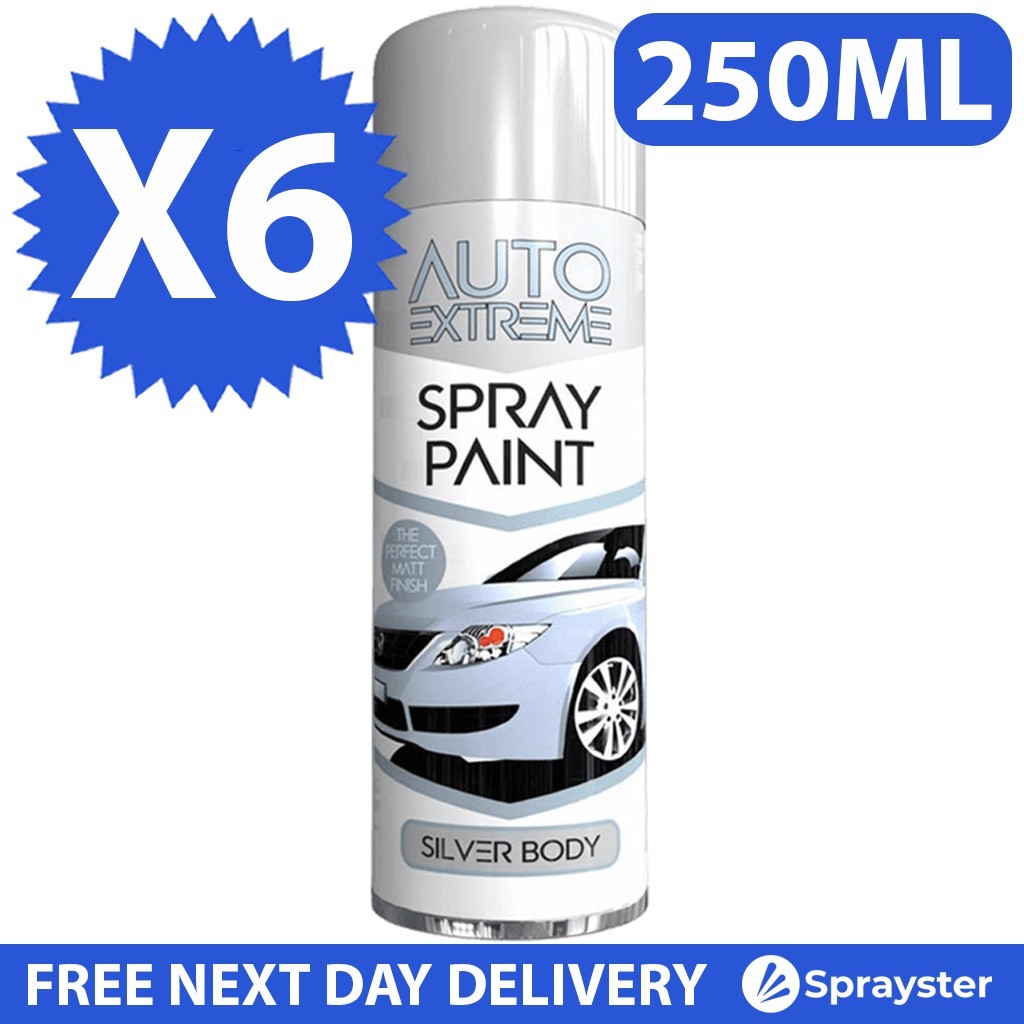 Rackhams Silver 3X Auto Extreme Paint Spray Paint 250Ml - Image 16