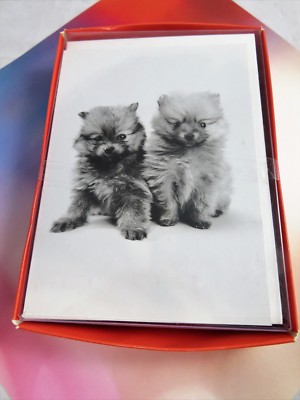 Graphique de France CUTE POOCH! Blank Note Cards 17 Cards 17 Envelopes