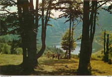 Postcard - Romania - Romania - Tusnad - Lacul Sf Ana - Lake Sfinta Ana - CP