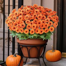 8 Bundles 17" Artificial Flowers for Outdoor Fall Decoration,Fake Silk Daisy ...