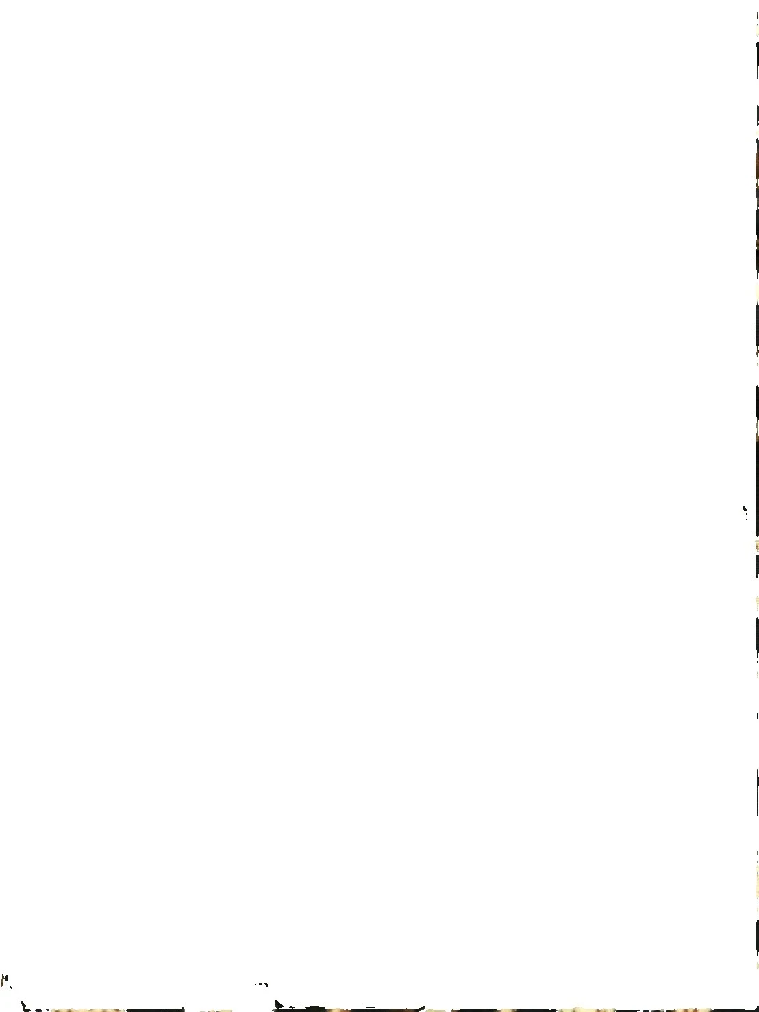 Animal Print-Leopard/Jaguar Crafts Animal Print Craft Fabrics