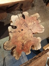 Finished Carab Slab