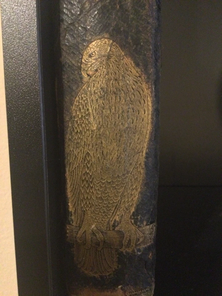 Rare 1876 Alexander Wilson American Ornithology Inspired Audubon - Image 4 of 4