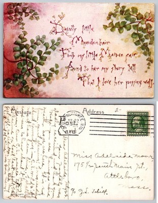 Vintage Maidenhair Fern Poem Postcard, Attleboro MA, Milwaukee Postmark 1905