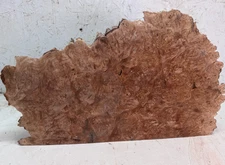 Live Edge Maple Burl Slab | MB 315
