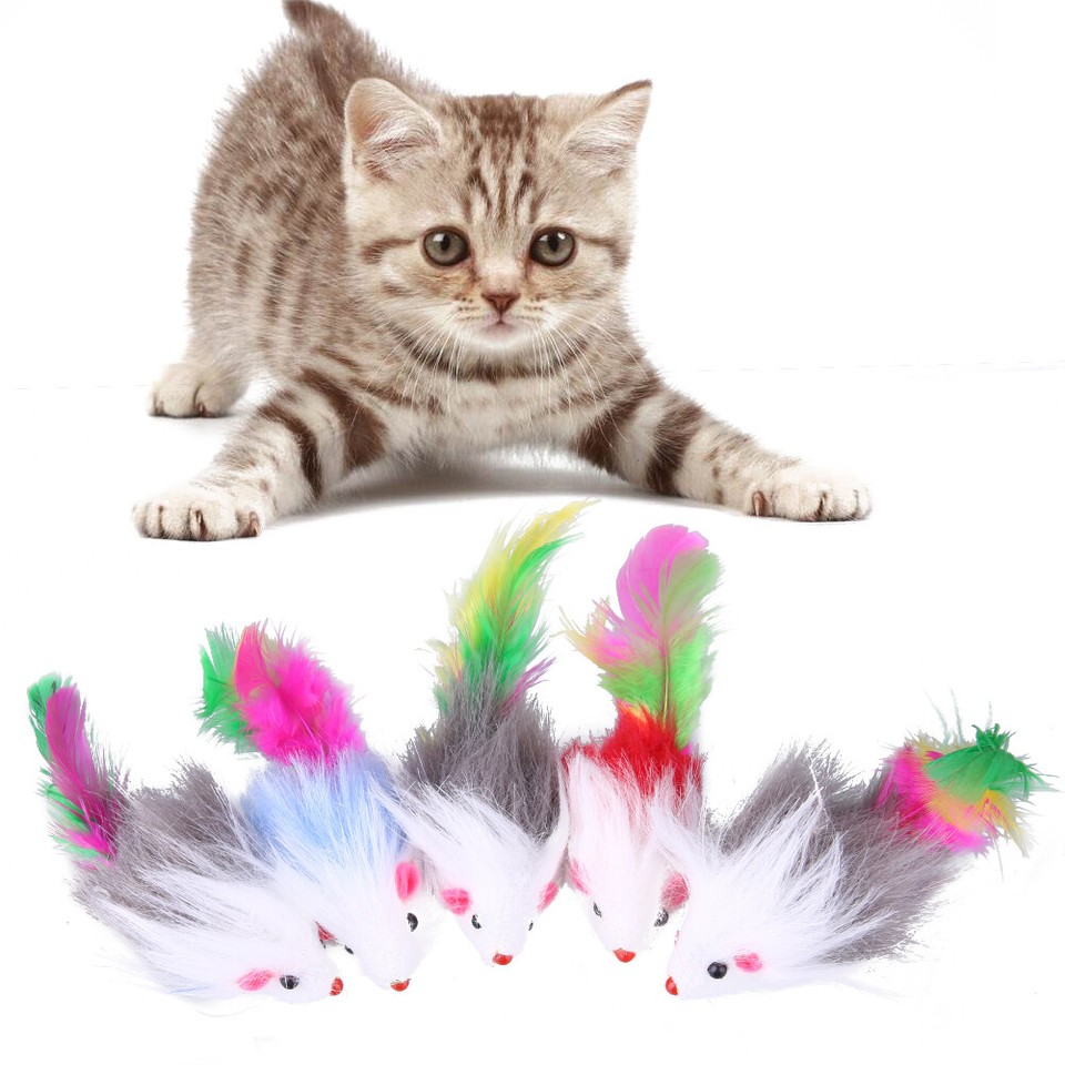 5pcs Cat Toys Funny Playing Soft Mouse Toys Colored Feather Toys Pet