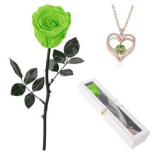 Flowers for Delivery Prime,Single Preserved Rose with Necklace Emerald Green
